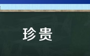 《最珍贵》作文优秀5篇