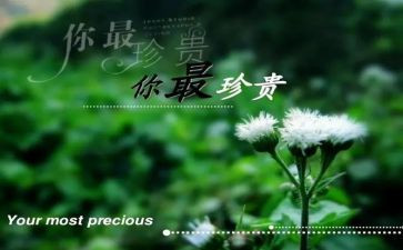 珍贵作文300字推荐7篇