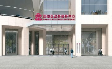 政务服务办工作总结5篇