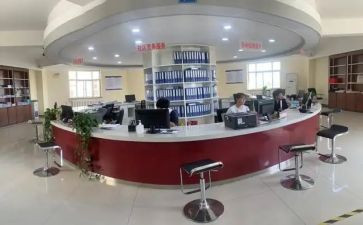 政务办政务公开工作总结7篇