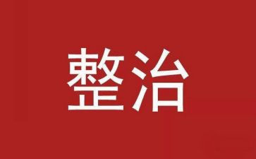 整治工作总结范文优秀5篇