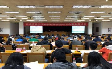 镇统计员工作总结最新8篇