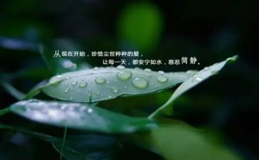 珍惜友谊的演讲稿最新8篇