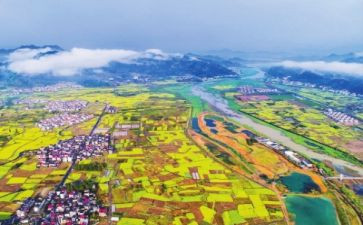 乡村振兴之调研报告7篇