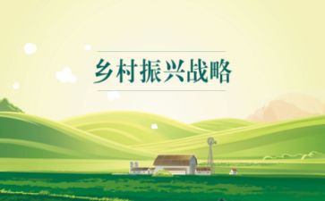乡村振兴2024年工作计划最新6篇