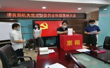 村党支部换届工作报告6篇