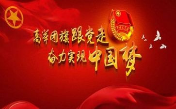 支部团工作总结精选8篇