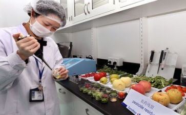 监理质量工作总结5篇