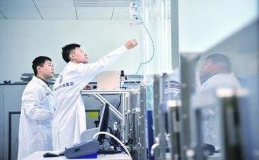 2023质量部工作总结6篇