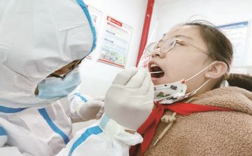 2024年度质量部工作总结5篇