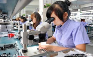 年度质量工作总结6篇