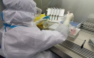 质量年度工作总结范文7篇