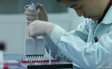 质量工作计划精选5篇