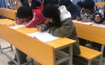 政治学生心得体会8篇