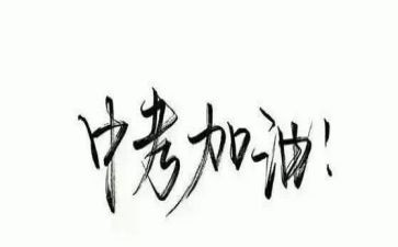 《新》中考作文模板7篇