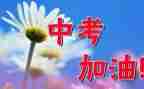 2024年中考演讲稿8篇