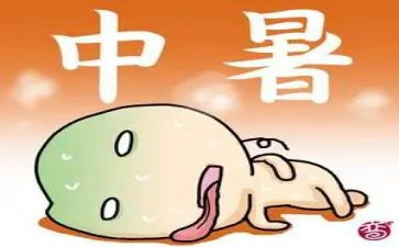 初中暑假学习计划6篇
