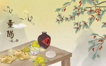 2024年重阳节活动方案推荐7篇