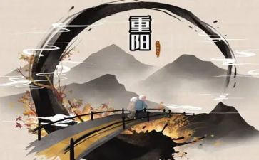 重阳有爱活动总结优质6篇