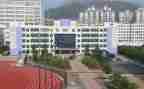 中专幼师专业自我鉴定6篇
