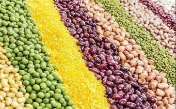 小种子幼儿大班教案5篇