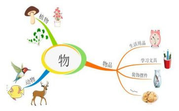 作文状物800字6篇