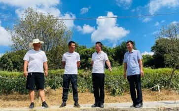 驻村干部的述职报告精选8篇