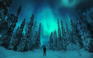 追寻的光作文6篇