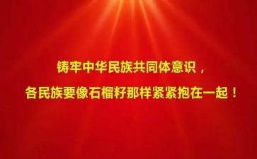 铸牢中华共同体心得体会5篇