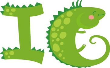 字母操的教案通用5篇