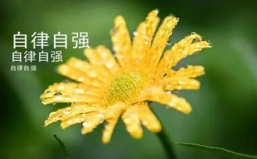 自立自强少年事迹材料5篇