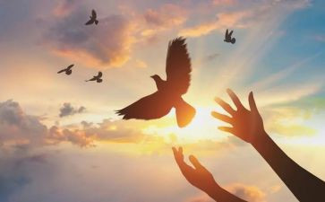 《为了自由呼吸的教育》读书心得模板6篇