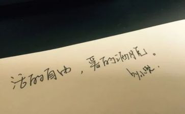 读爱与自由读后感7篇