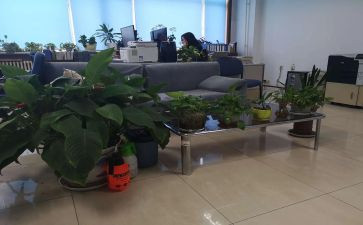 保险公司综合部述职报告7篇