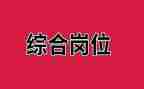 安全综合岗工作计划8篇