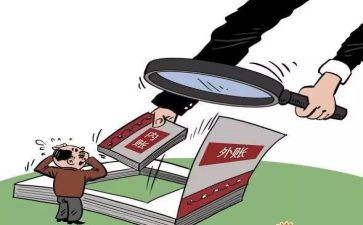 总账会计年度总结5篇