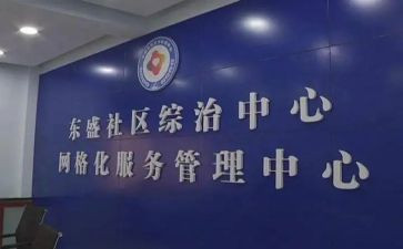 关于综治的工作总结8篇
