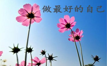 《最好的自己》读后感6篇