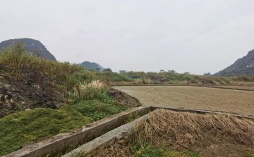 租赁商场合同5篇