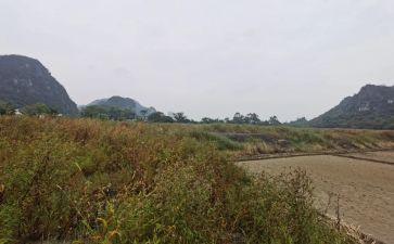 住房租租赁合同模板7篇