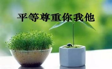 600字的尊重作文精选7篇